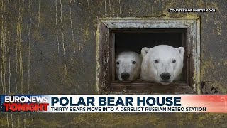 Thirty bears move into derelict Soviet weather station