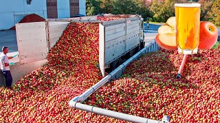 HOW APPLE JUICE is MADE in FACTORY🍎| HOW IT'S MADE APPLE JUICE EPISODE HD