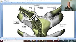 Musculo-skeletal Module I in Arabic 58 ( Sternoclavicular joint  ) , by Dr. Wahdan 2022