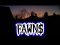 FAWN$ (By AMB) (PROD. AMB Studios)