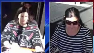 Comal County Sheriff's Office seeks person of interest in theft case