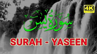 Beautiful Quran Surah Yasein | Surah Yaseenn | Surat ul Yasiin | #HafizArshadAhmadOfficial