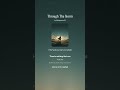 Through The Storm (Lyrics by PKGRAVES