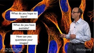 Microscopy: Choosing the Right Microscopy Technique (Ron Vale)