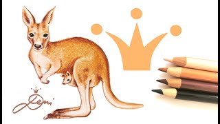 Känguru realistisch und schnell zeichnen lernen 🦘How to Draw a Realistic Kangaroo with Baby 🦘