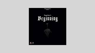 BEGINNING (Official Audio) PARM GILL | REBELLIOUS FILMS