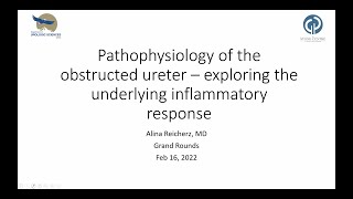 Pathophysiology of the Obstructed Ureter – Exploring the Underlying Inflammatory Response