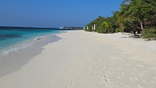 Kudafushi Maldives housereef snorkeling on Dec 4th 2024