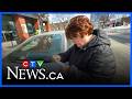 Westboro paid parking: 8,000 tickets issued