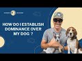 How Do I Establish Dominance Over My Dog? | The Beacon Dog Academy