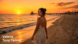 Valerie by Tony Tanner