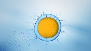 Post-Mortem Sperm Retrieval: An Interview with Urologist Dr. Martin Bastuba
