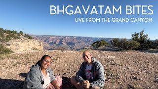 Day 686 -  Bhagavatam Bites - SB 4.21.50