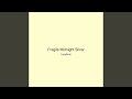Fragile Midnight Silver