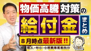 【事業者向け給付金まとめ!!】都道府県別 / 最大30万円等 / 個人事業・小規模・中小向け / 物価高騰対策 / 電気・エネルギー価格高騰対策 / 東京・大阪府・埼玉・神戸の事例等〈23年8月時点〉