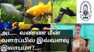 Profitable color fish farming || இலாபம் தரும் வண்ண மீன் வளர்ப்பு_ Part - 1