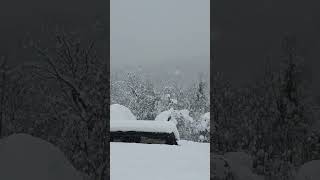 Kräftiger Schneefall in Kärnten Januar 2023