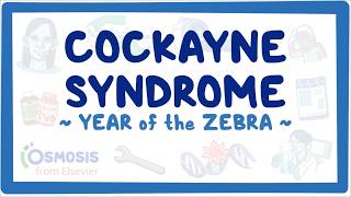Cockayne syndrome (Year of the Zebra 2026)