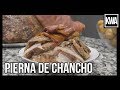 PIERNA DE CHANCHO