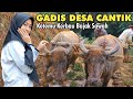 Indonesian Girl Rural Life, Indah Suasananya Cantik Gadis Desanya, Suasana Pedesaan Sunda Jawa Barat