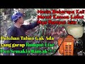 puluhan tahun gak ada Yang mau Garap!!! Pembukaan Lahan Pertanian//Perkebunan Part 2