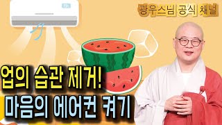 장마철 꿉꿉함 해결하듯, 우리 업의 습관도 말려요! | 광우스님 부처님과 제자들26회