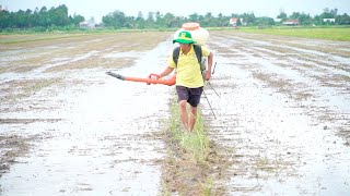 CANH TÁC THÔNG MINH: CHUẨN BỊ ĐẤT ĐẦU VỤ LÚA ĐÔNG XUÂN 2024-2025 VÙNG ĐBSCL