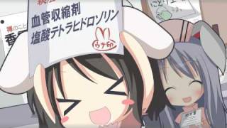 [HD] Touhou - Erin's Clinic