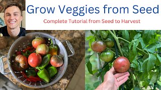 How to Grow Vegetables at Home from Seed - Complete Tutorial from Seed to Harvest