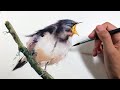 Painting a hungry bird in Watercolors Loose style