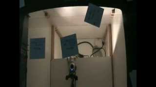 Work in progress Cie La Roue Libre Live project Reactivision PureData.wmv