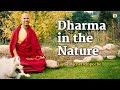 3/6 Dharma in the Nature with Lama Michel Rinpoche