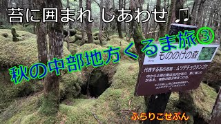 秋の中部地方くるま旅③ 2024年11月11日　白駒の池1周と白駒湿原、蓼科花ファクトリーランチ。夕陽の御射鹿池撮影し蓼科BASE車中泊へ