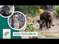 💫 2022 TERUGBLIK: Geboortes, Bumi 1 jaar en viral gaan!