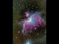 Orion Nebula through my telescope