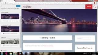 Radiate WordPress Theme Tutorial 1