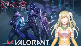 【VALORANT】ひっさしぶりのふるぱばろ