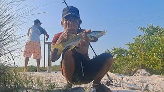 Fishing for WHATEVER bites! Snook, tarpon and more!!