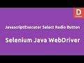 Selenium WebDriver JavascriptExecutor Select Radio Button