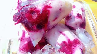 How to Make GOURMET RED BERRY POPSICLES: Easy and Delicious