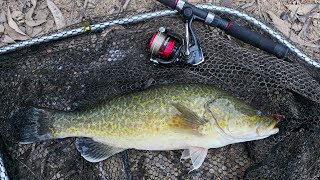 Murray Cod Fishing Basics: 5 Murray Cod Fishing Tips To Help You Catch Your First Murray Cod