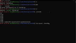 Debugging a Go application with time travel debugging