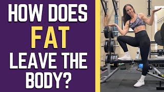 Where Does FAT Go When You LOSE WEIGHT? FAT LOSS Explained