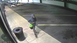 Surveillance footage: Dollar Tree robber