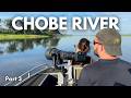We go on a photographic boat cruise on Botswana's Chobe River!