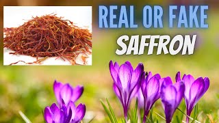 differentiate between real and fake | saffron | kashmir | most expensive spice