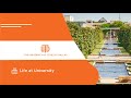 Life at the University of Texas at Dallas | Life at UT Dallas