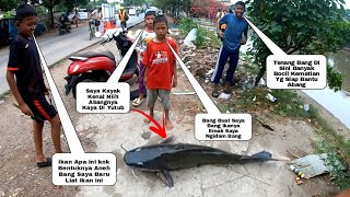 Masyallah Pertanda Apa ini TibaTiba Ribuan ikan Besar Naik Ke Permukaan Seketika Menggemparkan warga