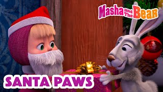 Masha and the Bear 2024 🎅 Santa Paws 🐾 Best episodes cartoon collection 🎬