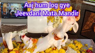 Aaj Hum Log Gye Jeevdani Mata Mandir | Jai Mata Di | Travel Vlog | Snappy Girls | My First Vlog🥰